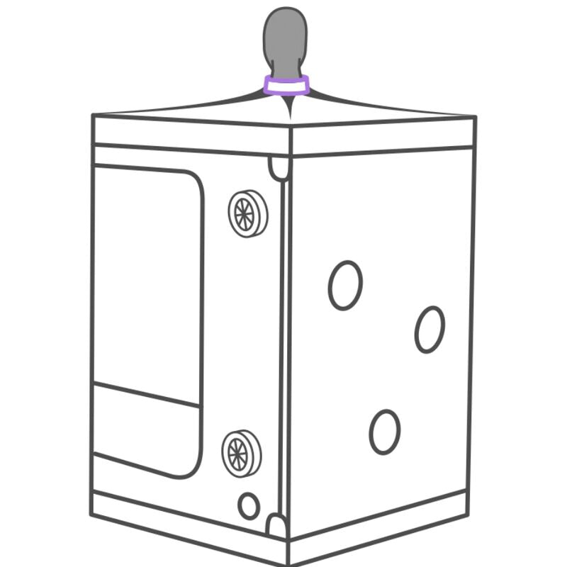 SECRET DOME - KINK CLUB CABINA SCANDALE MORADO