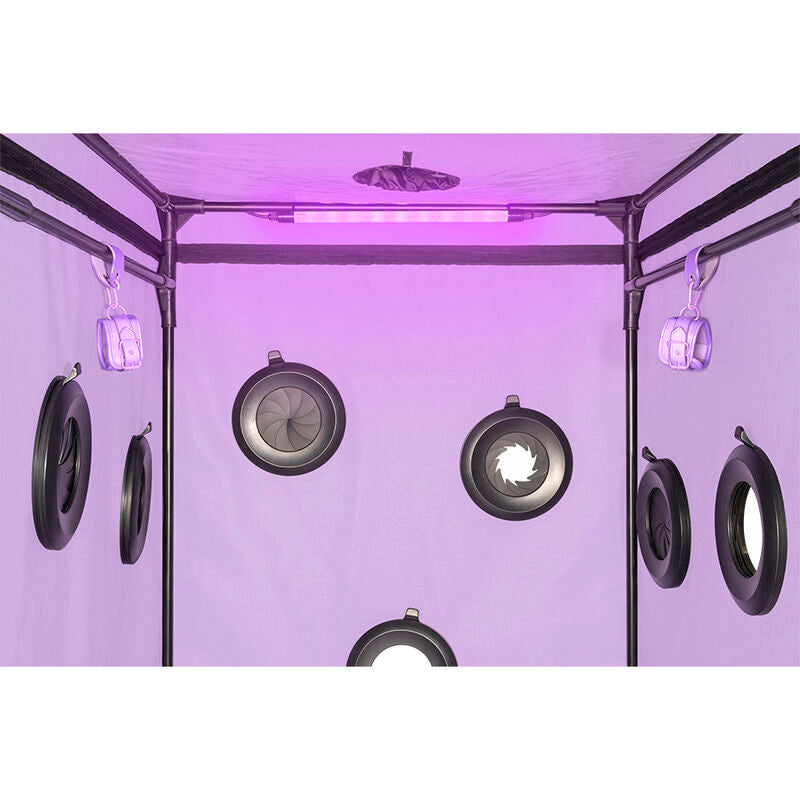 SECRET DOME - KINK CLUB CABINA SCANDALE MORADO